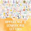 Uppercase & Lowercase Letters