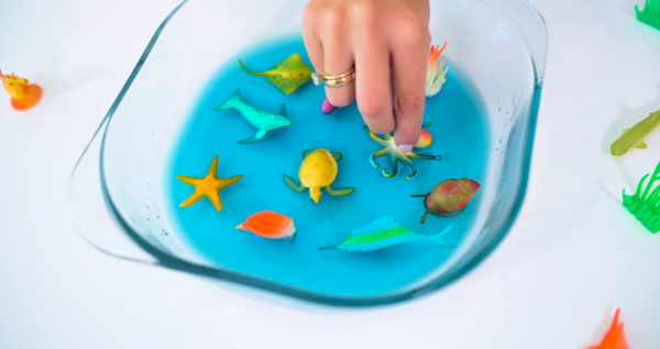 Screen Shot 2024-08-26 at 2.56.17 PM 2-3Y - Sensory Play